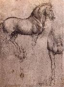 Studies of horses LEONARDO da Vinci